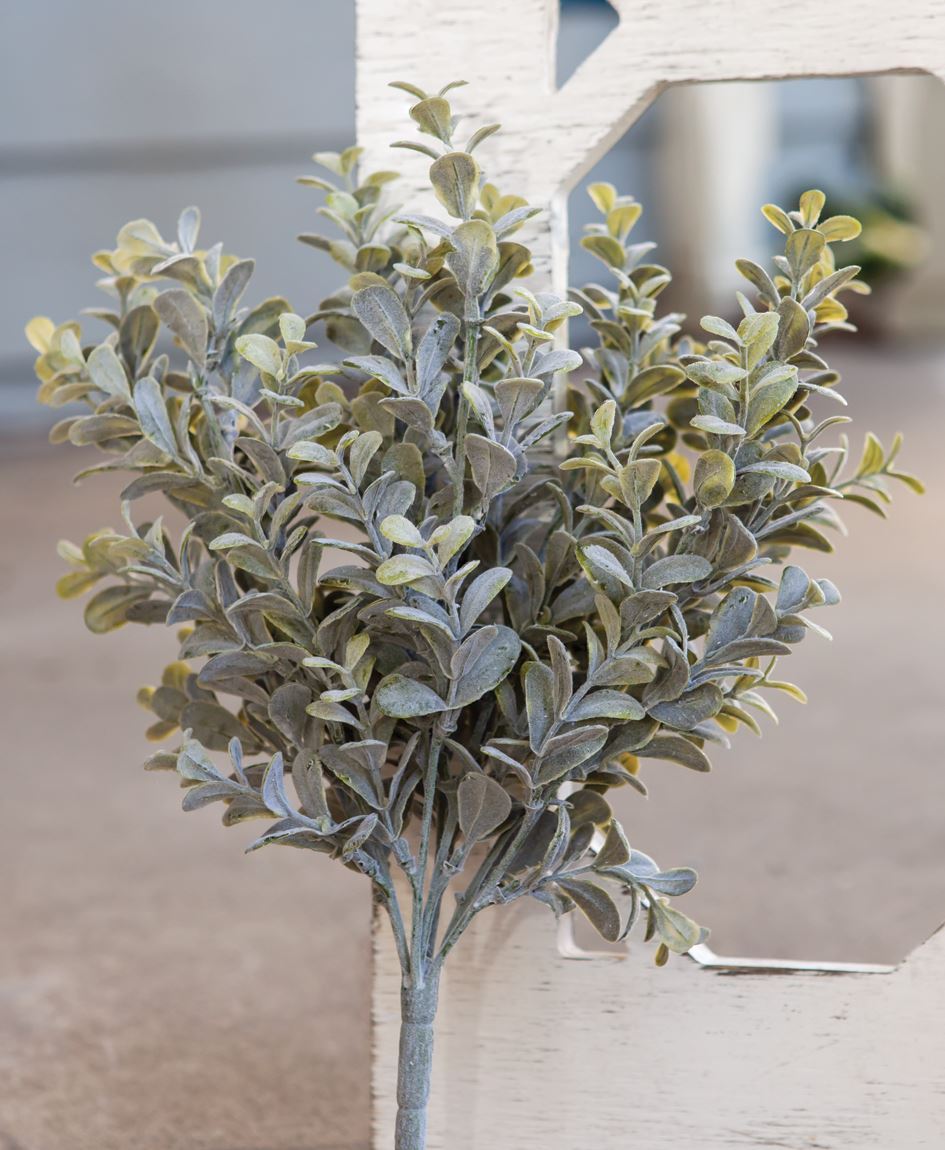 14” Pebble Eucalyptus Bush